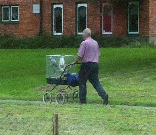 We do not see these things every day - #32 