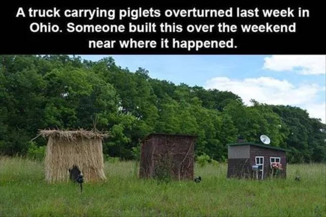 We do not see these things every day - #53 