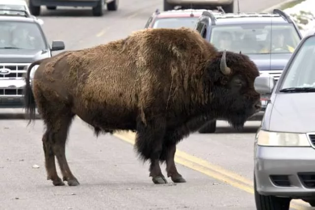 We do not see these things every day - #57 