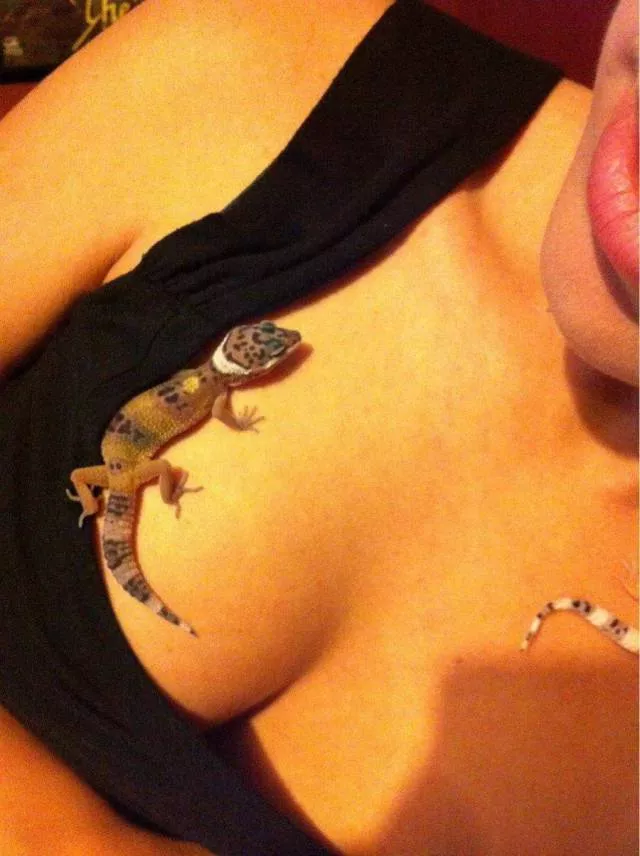 Picdump 227 - #11 