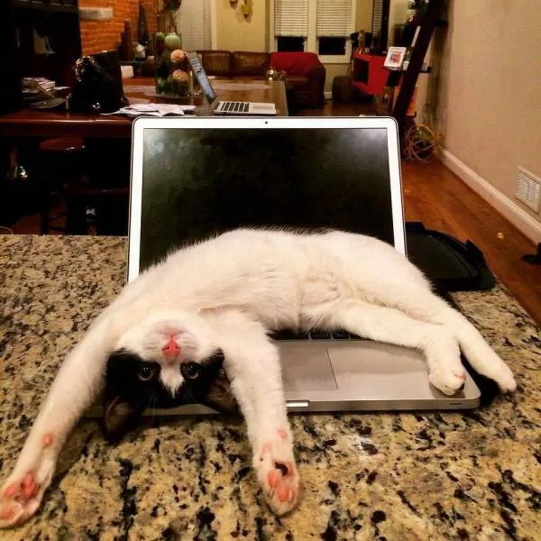 Picdump 227 - #12 