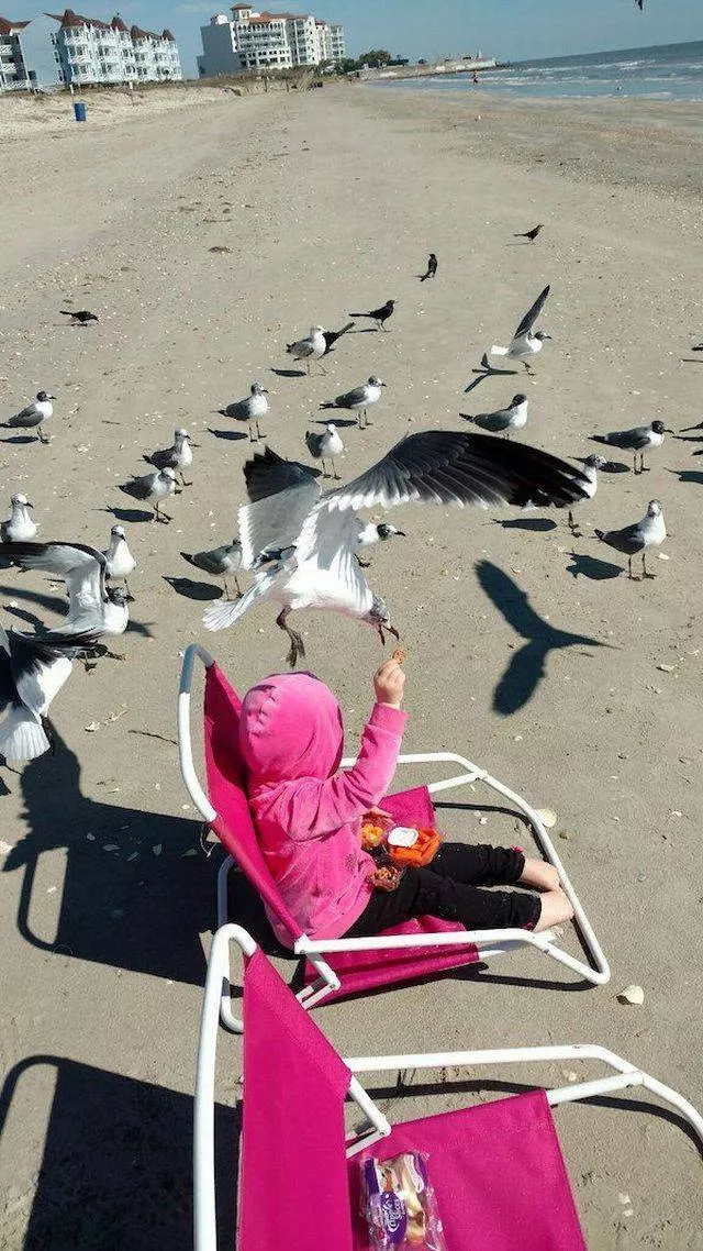 Picdump 227 - #17 