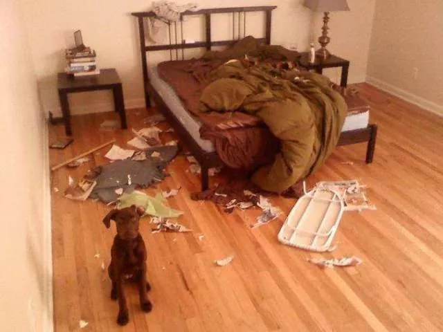 Picdump 227 - #24 