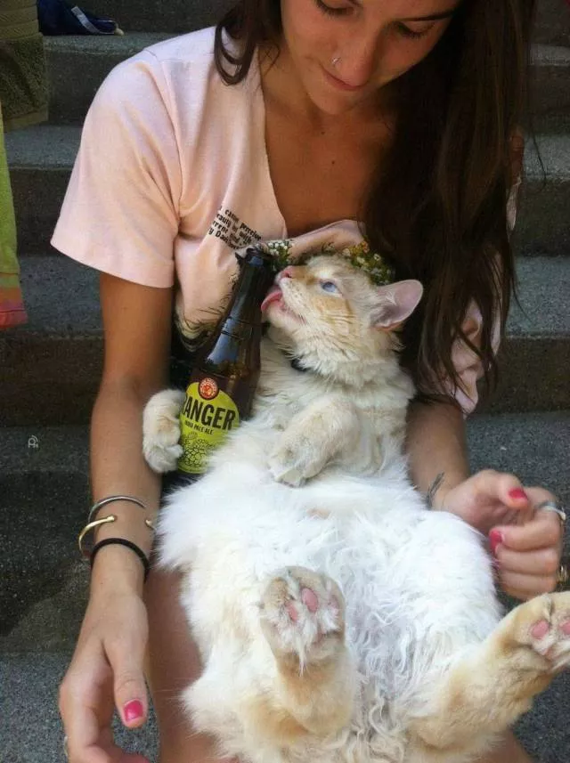 Picdump 227 - #25 