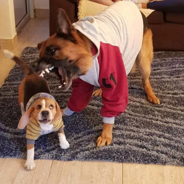 Picdump 227 - #28 