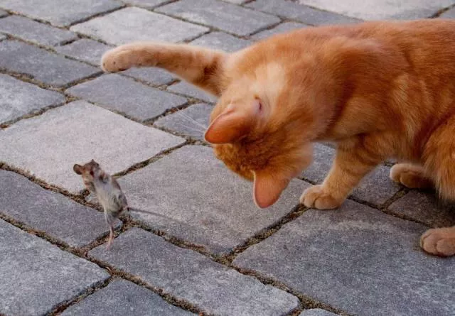 Picdump 227 - #3 