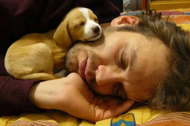 Picdump 227 - #35 