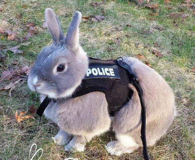 Picdump 227 - #42 