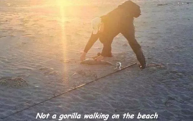 Picdump 227 - #50 