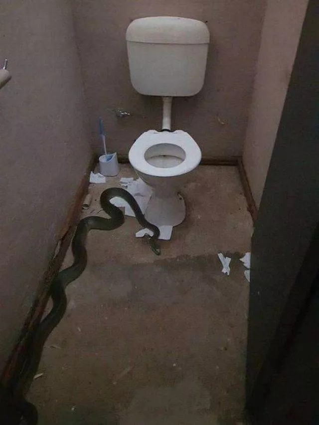 Picdump 227 - #60 