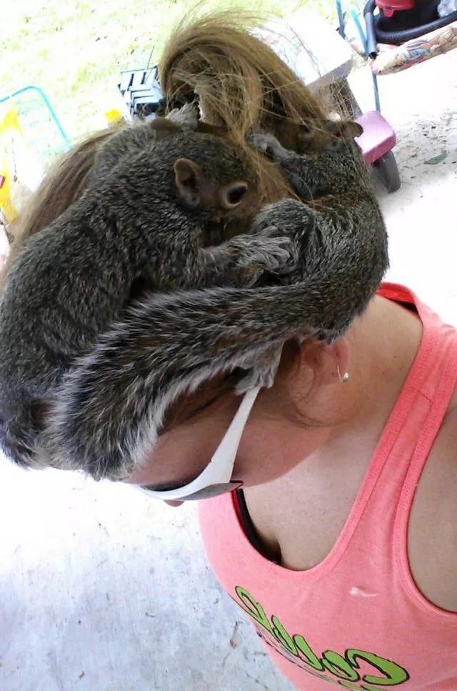 Picdump 227 - #63 