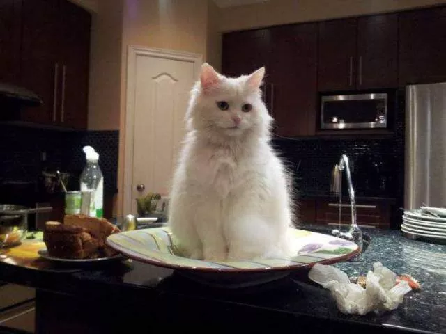 Picdump 227 - #73 