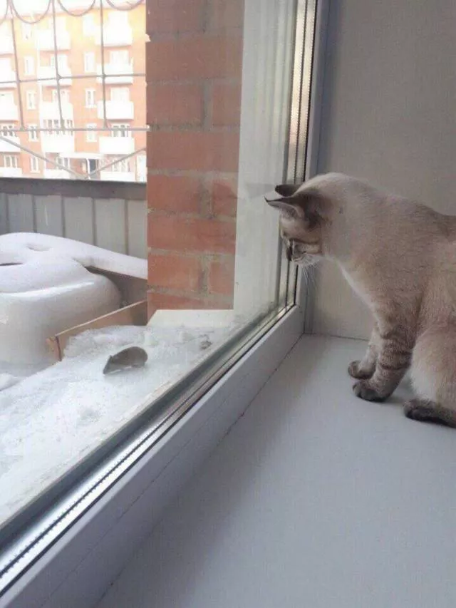 Picdump 227 - #76 