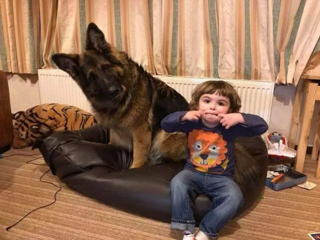 Picdump 227 - #78 