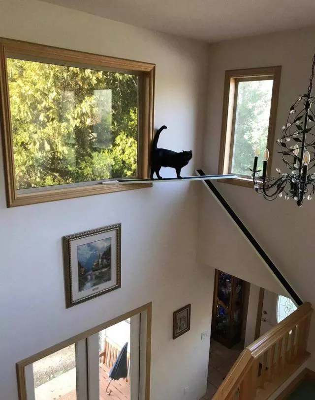Picdump 227 - #95 
