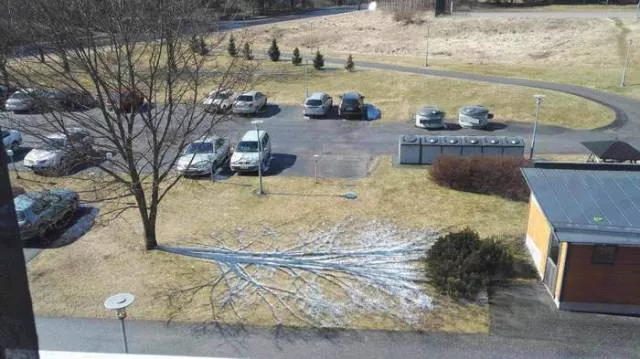Picdump 228 - #11 