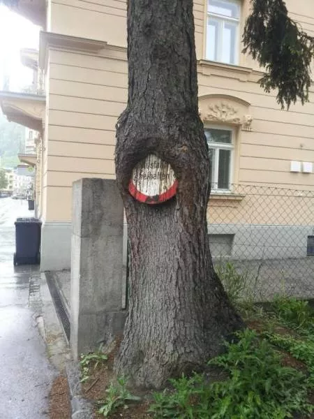 Picdump 228 - #13 