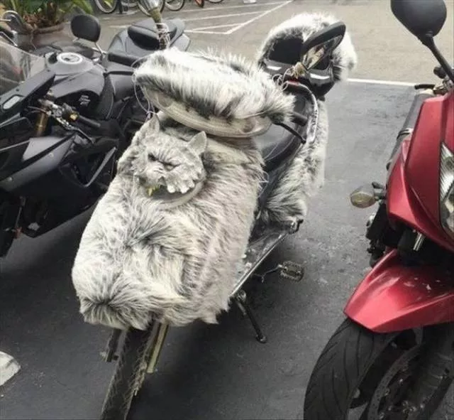 Picdump 228 - #22 