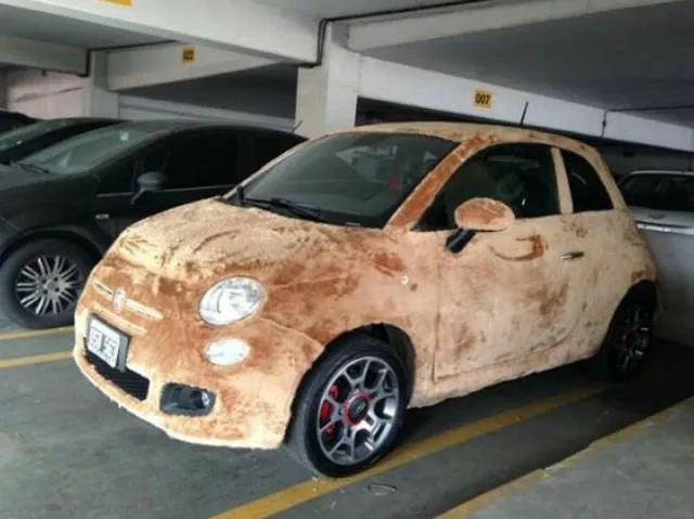 Picdump 228 - #6 