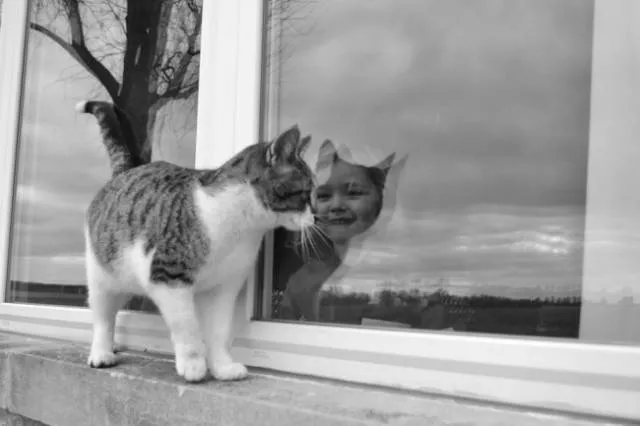Picdump 228 - #8 