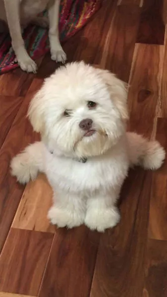 Look twice to understand - #22 