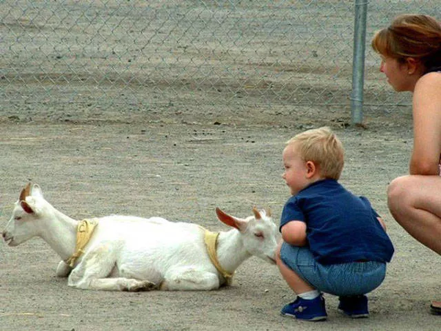 Look twice to understand - #33 