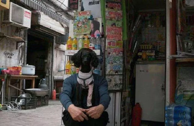 Look twice to understand - #7 