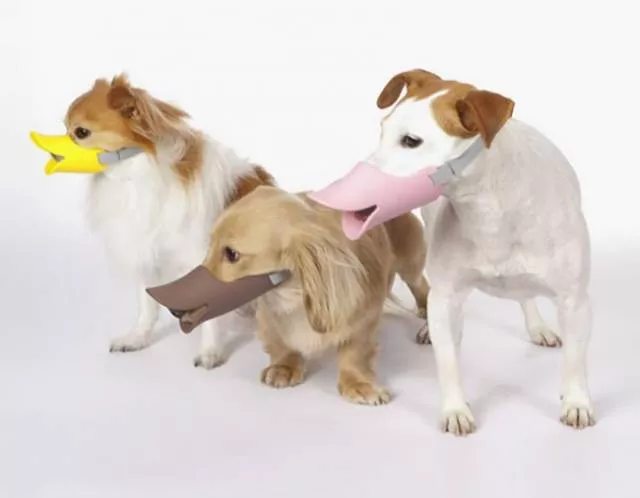 Les inventions les plus inutiles jamais utilisees - #5 