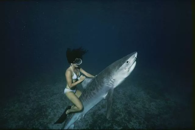 Picdump 230 - #2 