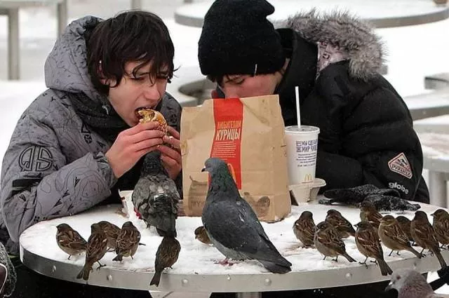 Picdump 230 - #27 