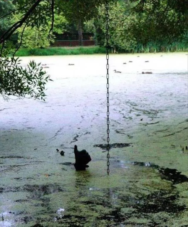Picdump 230 - #36 