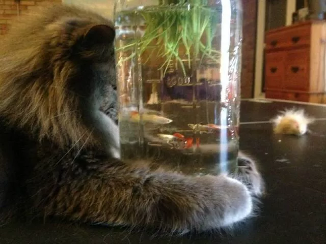 Picdump 230 - #48 