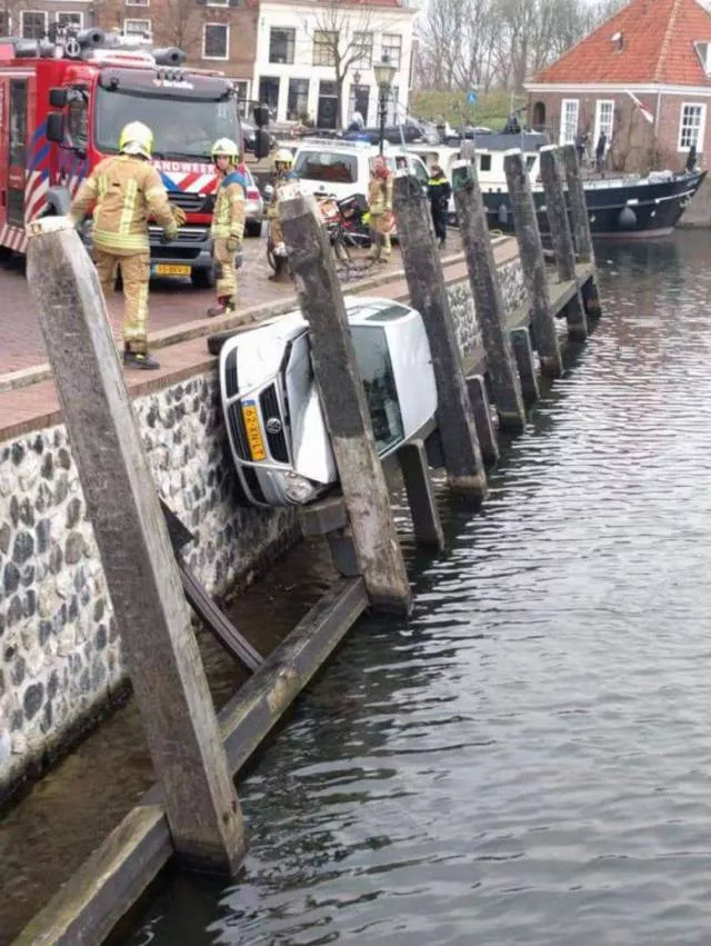 Picdump 230 - #61 