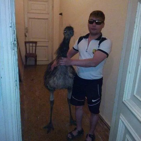 Picdump 230 - #66 