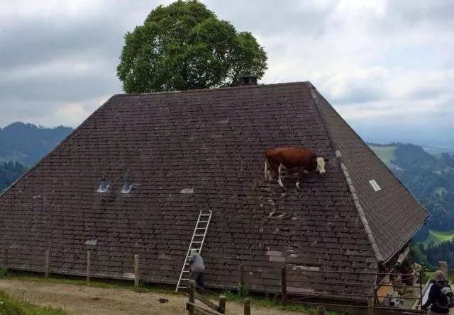 Picdump 230 - #72 