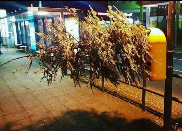 Picdump 230 - #85 