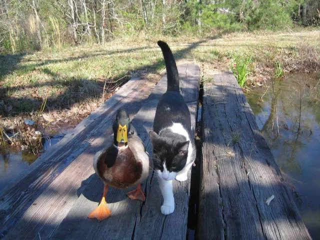 Picdump 230 - #96 