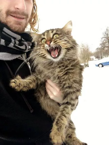 Animaux droles vs neige