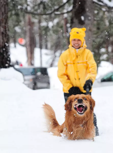 Animaux droles vs neige - #36 