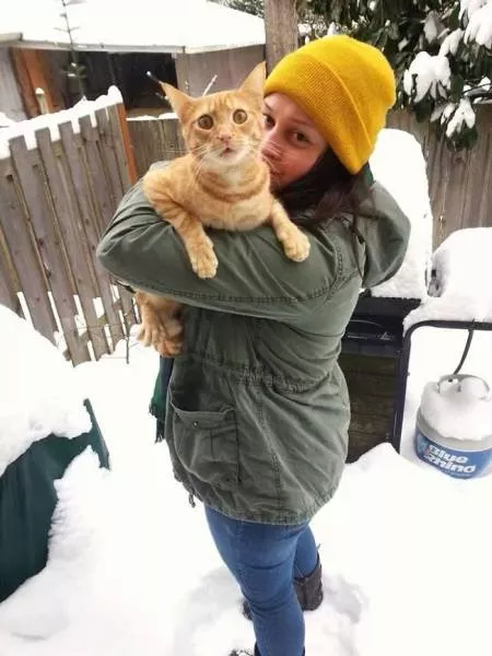Animaux droles vs neige - #5 