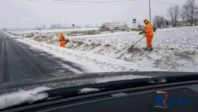 Picdump 231 - #14 