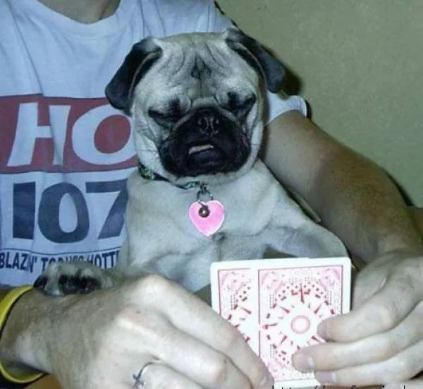 Picdump 231 - #40 