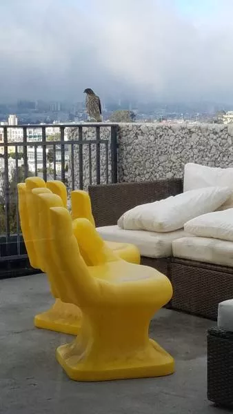 Picdump 232 - #18 