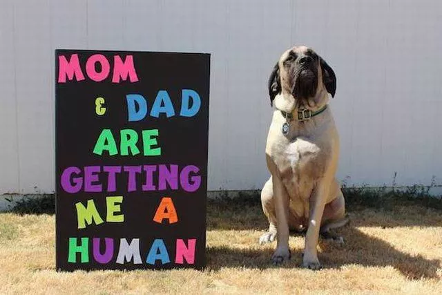 Picdump 233 - #14 