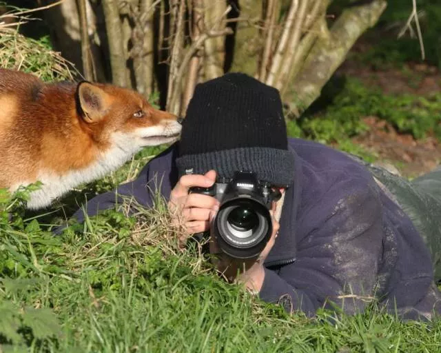 Picdump 233 - #33 
