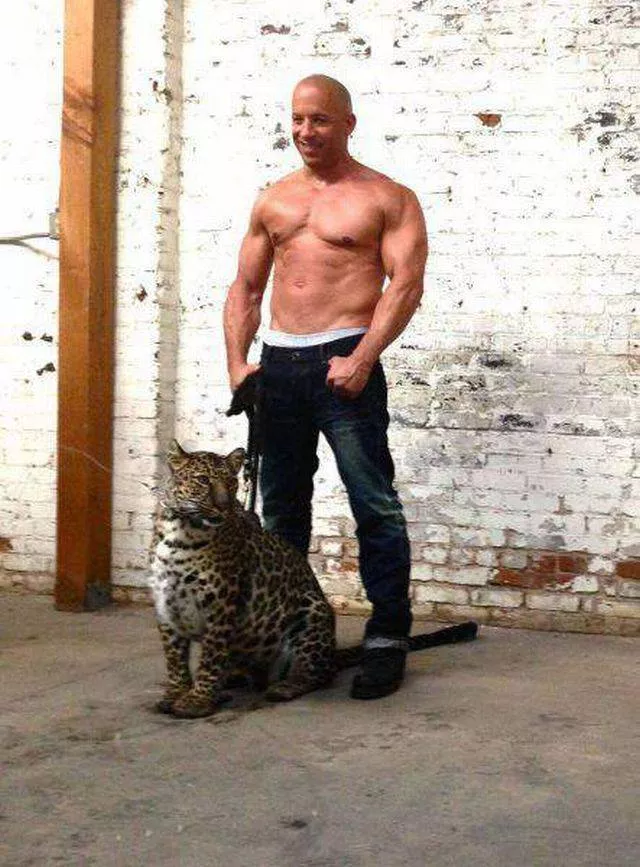 Picdump 233 - #46 