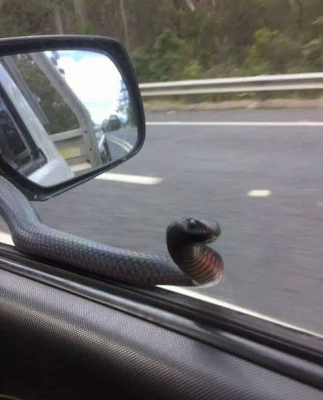 Picdump 233 - #47 