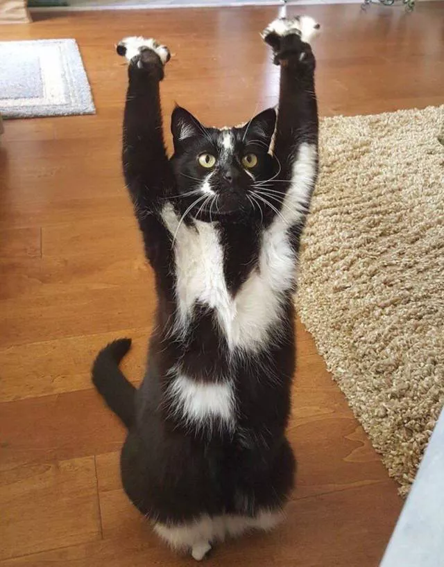 Picdump 233 - #55 