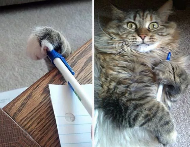 Picdump 233 - #9 