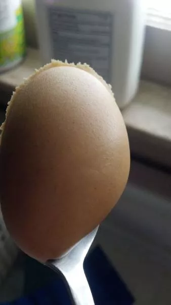 The perfect foods - #24 